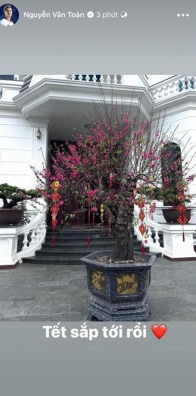Theo đó gia đình tiền đạo sinh năm 1996 của đội tuyển Việt Nam đã sắm một cây đào to, khoe sắc thắm để ở trước nhà.