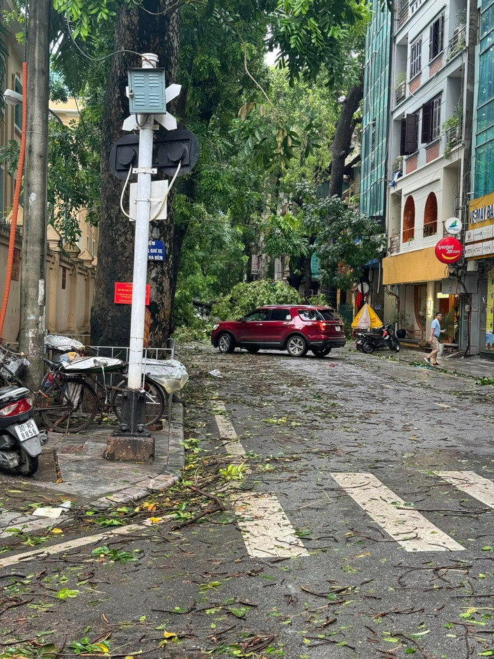 Khu phố Lý Nam Đế cũng có nhiều cây cổ thụ đổ chắn lối đi.