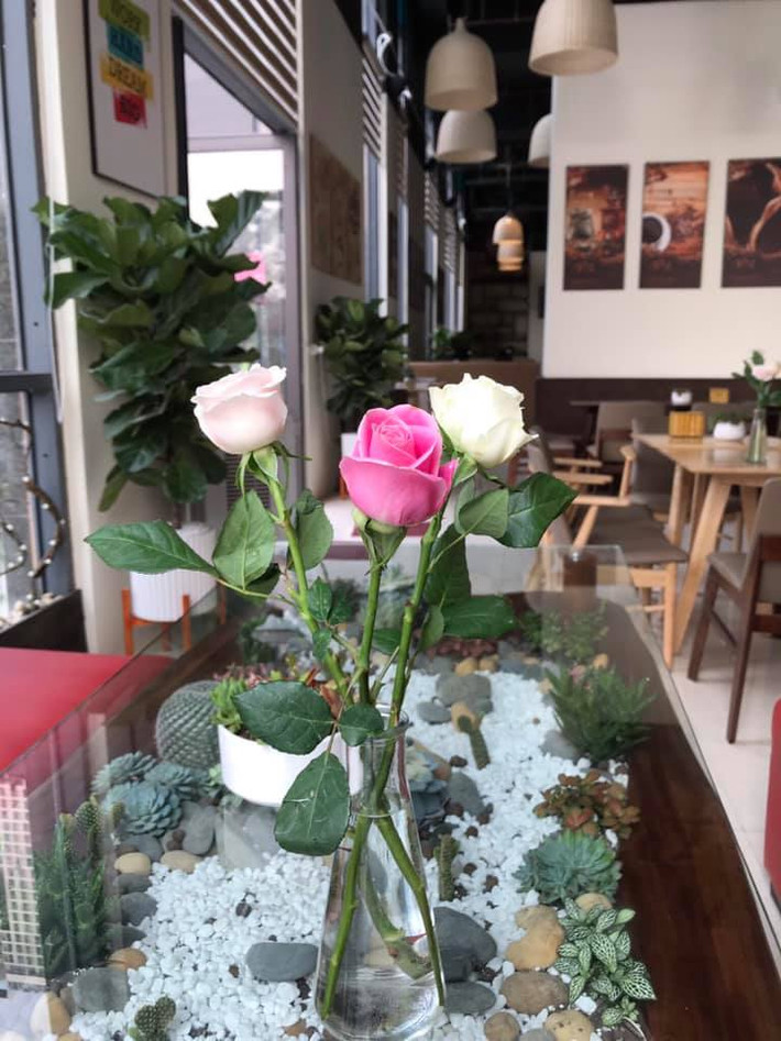 Tiểu cảnh cây xanh cho quán thêm xinh tươi.