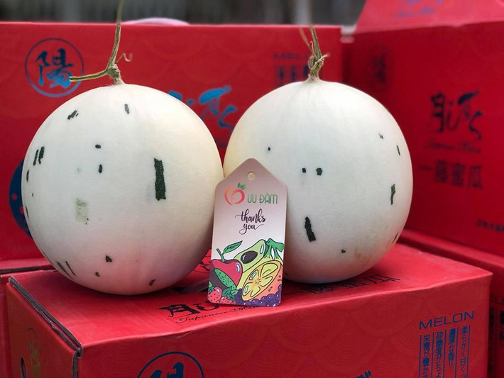 Nếu tính giá 300.000 đồng/kg thì có quả dưa sữa trị giá nửa triệu đồng. Ảnh: Hoaquauudam.