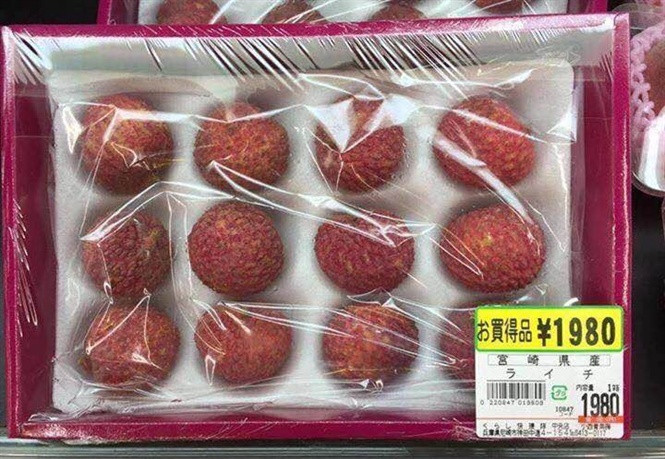 Tuy nhiên, mức giá này vẫn không thấm vào đâu so với giá vải thiều bán ở siêu thị Nhật Bản. Một khay vải thiều (12 quả) có giá tới 430.000 đồng. Ảnh: Vietnamnet.