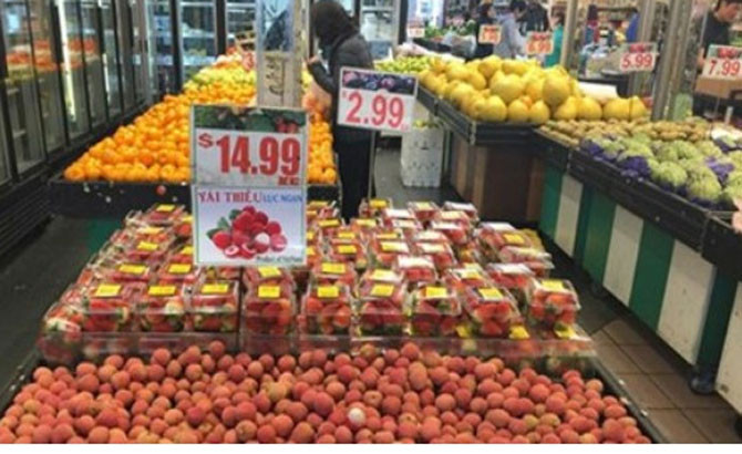 Vải Việt Nam sang Pháp theo đường phi mậu dịch của tiếp viên hàng không. Giá bán buôn khoảng 2,5 - 3 euro/kg (65.000 - 80.000 đồng/kg); Giá bán lẻ 4 - 5 euro/kg (105.000 - 130.000 đồng/kg). Ảnh: Vneconomy.