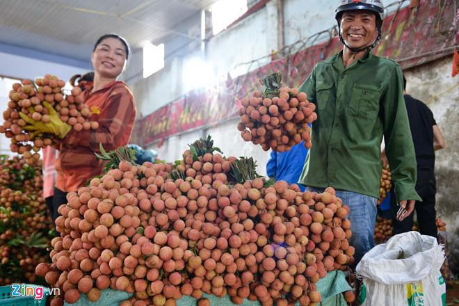 Cầm trên tay chùm vải nặng trĩu, anh Đỗ Văn Thành (ở huyện Lục Ngạn) phấn khởi nói: "Nhà tôi được hơn tấn vải thiều và khoảng 2-3 tạ vải Thanh Hà. Năm nay mất mùa so với mọi năm nhưng bù lại bán được giá tốt nên không khổ sở như mọi năm".