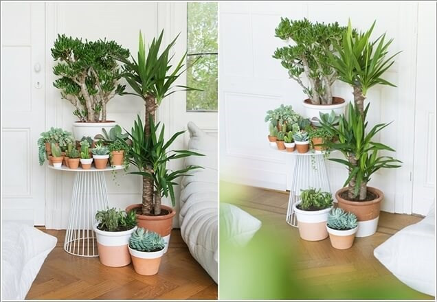 Cây xanh được đặt ở nhiều vị trí khác nhau như ngoài ban công, sân thượng hay khuôn viên quanh nhà...