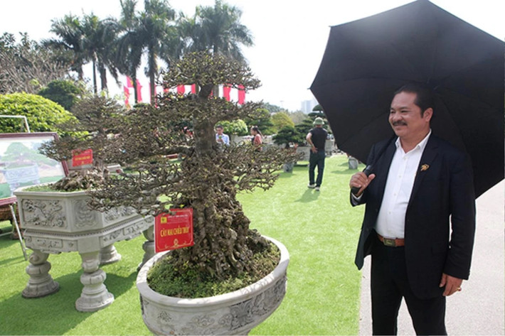 Anh Lê Văn Dũng (TP. Sông Công, Thái Nguyên) là một tay chơi cây cảnh có tiếng ở Việt Nam với khả năng "chốt đơn" đỉnh cao nhờ vào đam mê và con mắt tinh tế nhìn cây. Ảnh: Saostar