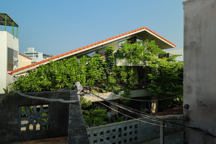 Mảng cây xanh được trồng theo phương ngang và đứng tạo thành lớp rèm tự nhiên che nắng hướng Tây, vừa giúp lọc không khí, giảm tiếng ồn và tầm nhìn từ bên ngoài vào trong. Ảnh: Chong Chóng Architecture