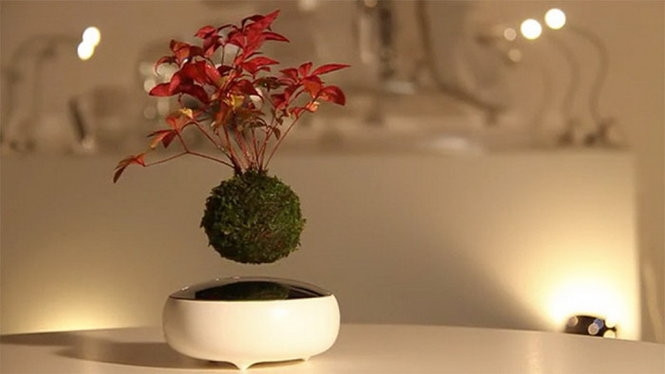 Giống như các chậu bonsai truyền thống, người chơi có thể thay cây trong chậu bằng bất kỳ loại cây nào theo ý thích. Ảnh: BoredPanda
