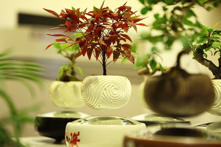 Cấu tạo một bộ bonsai bay gồm phần đế được gắn thiết bị tạo ra từ trường điện, phía trên là nam châm từ tính giúp cho cây luôn giữ được trạng thái thăng bằng. Ảnh: Bonsai bay VN