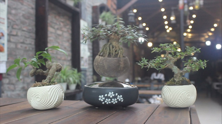 Nhờ hệ thống từ trường, cây có thể xoay tròn và lơ lửng trên không. Ảnh: Vietnamnet