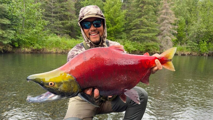 Cá hồi Sockeye nổi tiếng với hương vị đậm đà và thịt đỏ rực, giá trung bình khoảng 660.000 đồng/kg. Ảnh: Getty