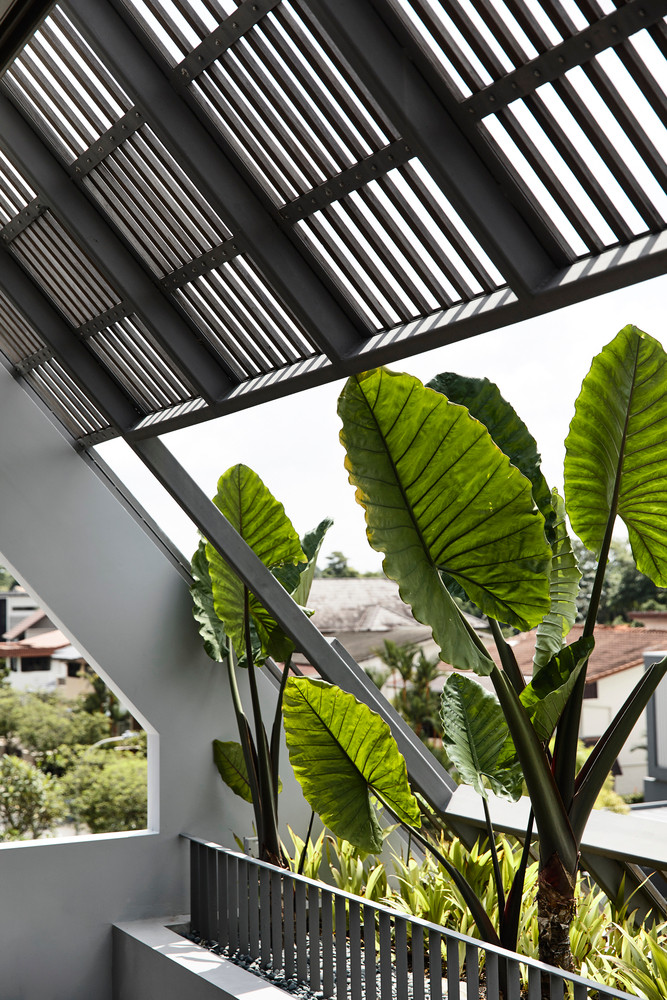 Trên mái nhà gắn pin mặt trời trên đỉnh mái, phục vụ cho các nhu cầu hàng ngày của thành viên trong gia đình. Ảnh: Derek Swalwell