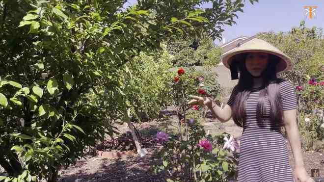 Khu vườn do chính tay Hà Thanh Xuân bỏ tiền đầu tư, thiết kế để làm nơi thư giãn, tập nhạc. Ảnh chụp màn hình