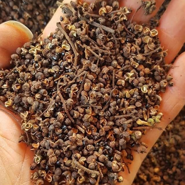 Ngày nay, hạt mắc khén là đặc sản Tây Bắc được bán với giá lên tới 350.000 đồng/kg. Ảnh: Shopee