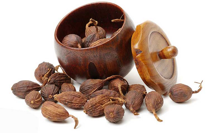 Thảo quả thường mọc hoang dại thành từng khóm ở các vùng núi Hoàng Liên Sơn và Tây Bắc như Lào Cai, Yên Bái...Ảnh: Internet