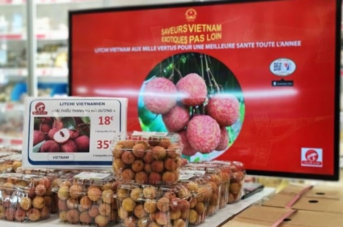 Tại Pháp, mỗi kg vải thiều Thanh Hà (Hải Dương) xuất khẩu chính ngạch có giá hơn 500.000 và được tiêu thụ nhanh chóng. Ảnh: Cục Xúc tiến thương mại.