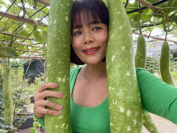 Sau khi kết hôn với chồng doanh nhân, ca sĩ Mỹ Lệ ít hoạt động showbiz, dành nhiều thời gian chăm sóc cho gia đình. Trên trang cá nhân, Mỹ Lệ chia se khung cảnh bên trong khu vườn rộng hàng nghìn m2 ở Thủ Đức.