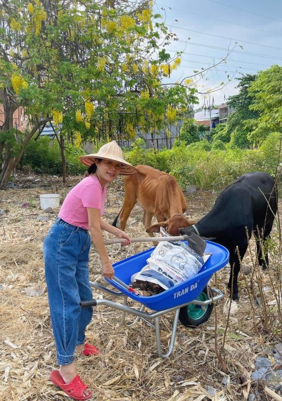 Khu vườn nhà ca sĩ Mỹ Lệ rộng tới hàng nghìn mét vuông. Nguồn ảnh; FBNV