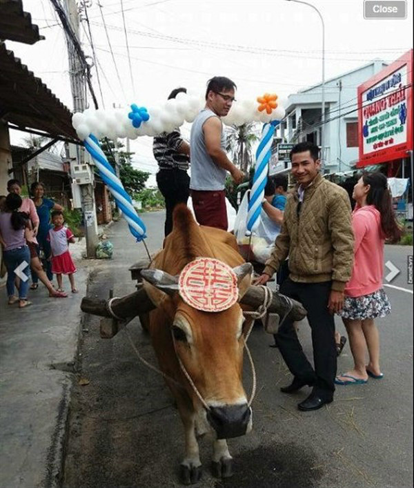 Đồng ý với P.H.L, nickname P.H.O tiếp lời: "Ngày xưa bố mẹ tôi còn đón dâu bằng xe đạp lẽo đẽo vài chục cây số để rước dâu về nhà vẫn hạnh phúc đấy thôi. Xe cộ chỉ là hình thức thôi, quan trọng là sống có yêu thương nhau không thôi".