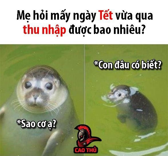 Cảm giác thu nhập trong Tết bị "cảnh sát" mẹ hỏi thăm.