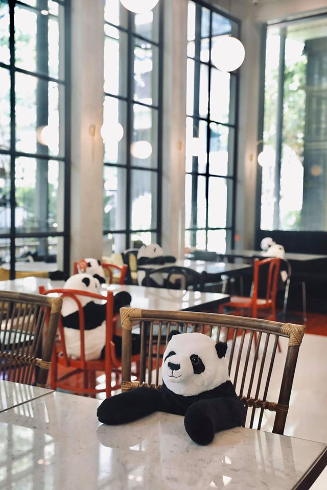 Cũng theo chia sẻ của chủ nhà hàng, anh và bạn trai là fan của bộ phim Kungfu Panda và thường sưu tầm các món đồ có hình chú gấu này.