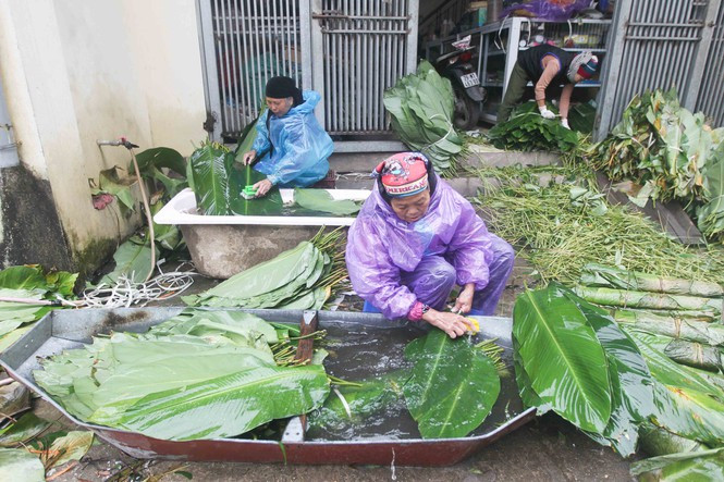 Nhiều nhà làm bánh hiện đã nhận được đơn hàng khoảng 4.000 chiếc. Để đảm bảo giao hàng đúng hẹn cho khách, từ đầu tháng họ đã phải thuê thêm khoảng 3 nhân công chuyên việc rửa, xếp lá dong.