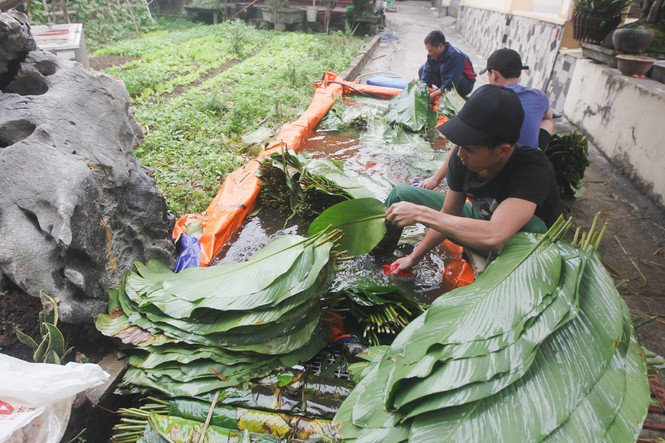 Năm nào cũng vậy, cứ vào dịp cuối năm, tất cả người dân trong làng đều tất bật với công việc rửa lá dong, vo gạo, đãi đỗ, thái thịt, gói, luộc bánh chưng. Do lượng công việc lớn, tương đối bận rộn khi nhận được nhiều đơn hàng nên nhiều gia đình ở đây còn phải thuê thêm nhân công với mức giá dao động từ 200.000 đồng đến 500.000 đồng/ngày công