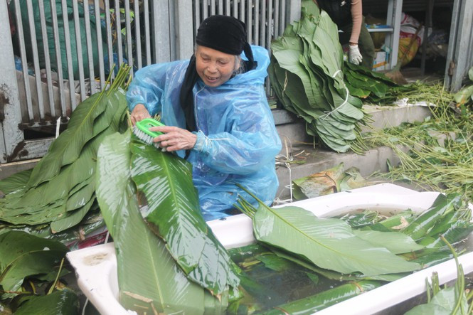 Công việc rửa lá này rất nhẹ nhàng nên thu hút chủ yếu lao động nữ tham gia. Tiền công được tính theo khối lượng công việc hoàn thành. Nhiều nhân công ở đây có thể rửa được khoảng 8.000 - 10.000 lá/ngày. Với mức giá thuê là 2.500 đồng/100 lá dong, mỗi ngày họ có thể kiếm được từ 200.000 – 250.000 đồng