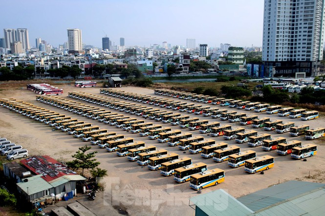 Vì tuyến xe bus nội thành Đà Nẵng đã ngưng chạy nên hàng chục chiếc xe nằm xếp hàng ở bãi đỗ. Ảnh: Giang Thanh