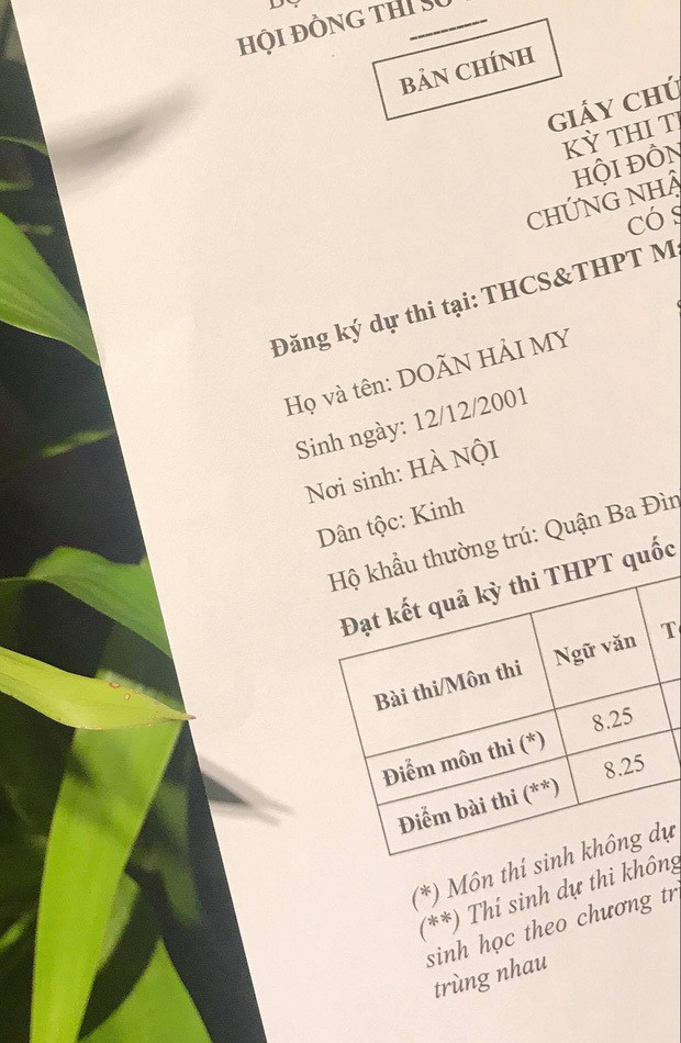 Doãn Hải My là sinh viên năm 2 tại Đại học Luật Hà Nội với chương trình chất lượng cao. Bạn gái tin đồn Văn Hậu không chỉ xinh đẹp và còn có khả năng cân bằng tốt giữa việc học, công việc cá nhân và tham gia các cuộc thi sắc đẹp.