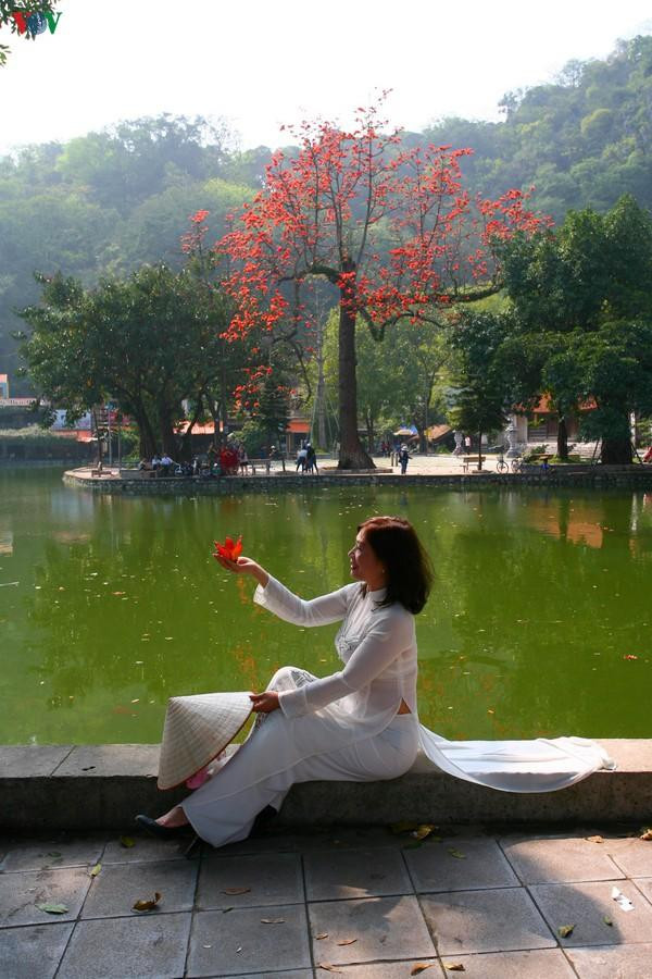 Rất nhanh chóng, nơi đây thành điểm đến của nhiều người tới chiêm ngưỡng vẻ đẹp hoa gạo và chụp ảnh lưu niệm với mùa hoa gạo.
