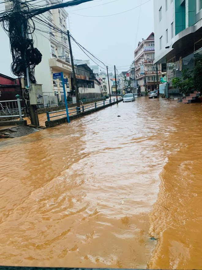 Một số lại cho biết nếu muốn đi Đà Lạt vào thời điểm này, du khách cần chuẩn bị ô, áo mưa và chuẩn bị tinh thần “làm bạn” với những cơn mưa mỗi ngày.