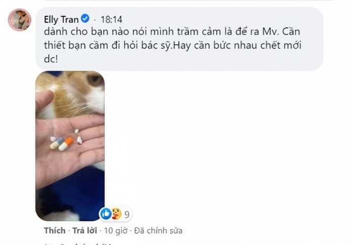 Trước lời chỉ trích của anti-fan, Elly Trần đã có động thái đáp trả. Cụ thể, cô viết: "Khi bạn nói ra câu này thì mình nói thật với bạn, bạn đúng là người chưa từng trải qua cảm giác đó. Người trầm cảm không phải lúc nào cũng thể hiện trạng thái đó ra với mọi người và khi người ta làm việc. Nói nhiều chi bằng bị một lần bạn sẽ hiểu tất cả những điều Elly nói là như thế nào...