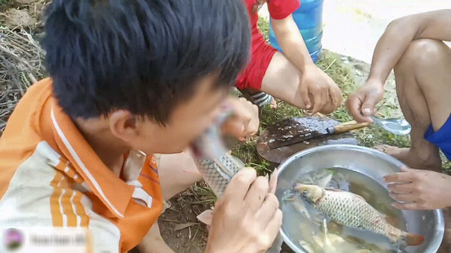 Thêm một điều đặc biệt nữa, hầu hết những clip ăn cá sống trên Youtube đều được "cộp mác" "đặc sản Tây Bắc". Theo nhiều người, điều trên góp phần khiến cho văn hóa ẩm thực của đồng bào Tây Bắc bị lệch lạc đi trong con mắt của các khán giả.