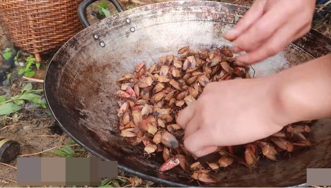 Điển hình như món bọ xít rang. Đây là một loại côn trùng khá phổ biến ở Việt Nam nhưng để đưa chúng lên bàn nhậu phải chế biến khá kĩ.