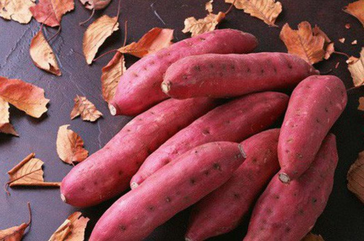 Khoai lang rất giàu vitamin và là một chuyên gia chống ung thư. Các nghiên cứu đã chỉ ra rằng khoai lang có chứa một thành phần đặc biệt: dehydroepiandrosterone, có thể ngăn ngừa ung thư, trì hoãn lão hóa.