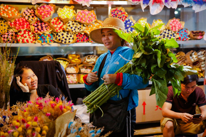 Ngoài những loại hoa truyền thống như hoa ly, hoa thược dược thì tại chợ hoa Quảng An còn có nhiều loại hoa nhập ngoại với hương, sắc thu hút khách mua.