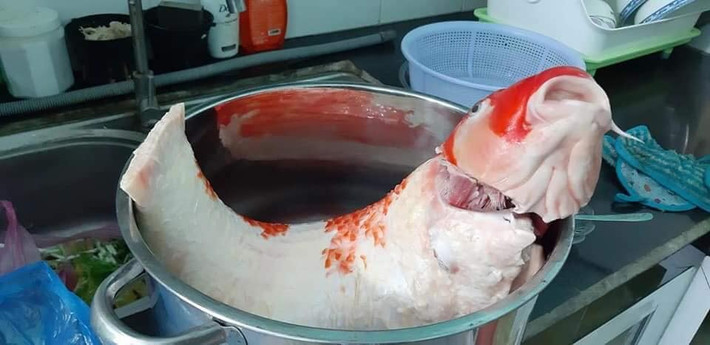 Cụ thể, trong câu chuyện được đăng tải kèm những bức ảnh làm thịt cá chép Koi, cô vợ cho biết chồng cô là người ham nhậu, gọi 4, 5 lần không được nên đã dọa làm thịt cá. Người chồng nghĩ rằng, vợ chỉ đùa vì giá trị con cá quá lớn nhưng sự thật không phải vậy, cô vợ chẳng ngần ngại "xả thịt" con cá cho vào nồi kho.