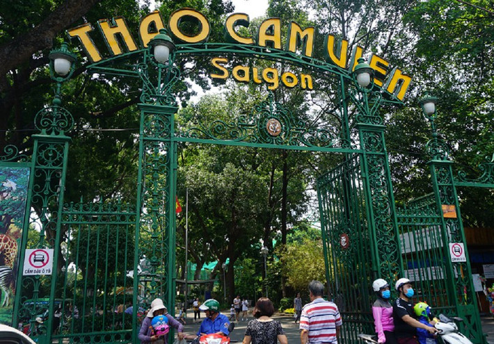 Sau đó, phượt thủ gấu mèo Bắc Mỹ này đã được những nhân viên cứu hộ đón về chăm sóc tại nhà mới Thảo Cầm Viên.