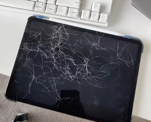 Có vẻ như trong lúc chủ nhân đi vắng và để quên iPad ở nhà, chú mèo Er Niu đã vô tình kích hoạt chức năng chụp ảnh trên máy tính bảng và đã không ngần ngại lưu lại những tấm hình đầy đáng yêu.