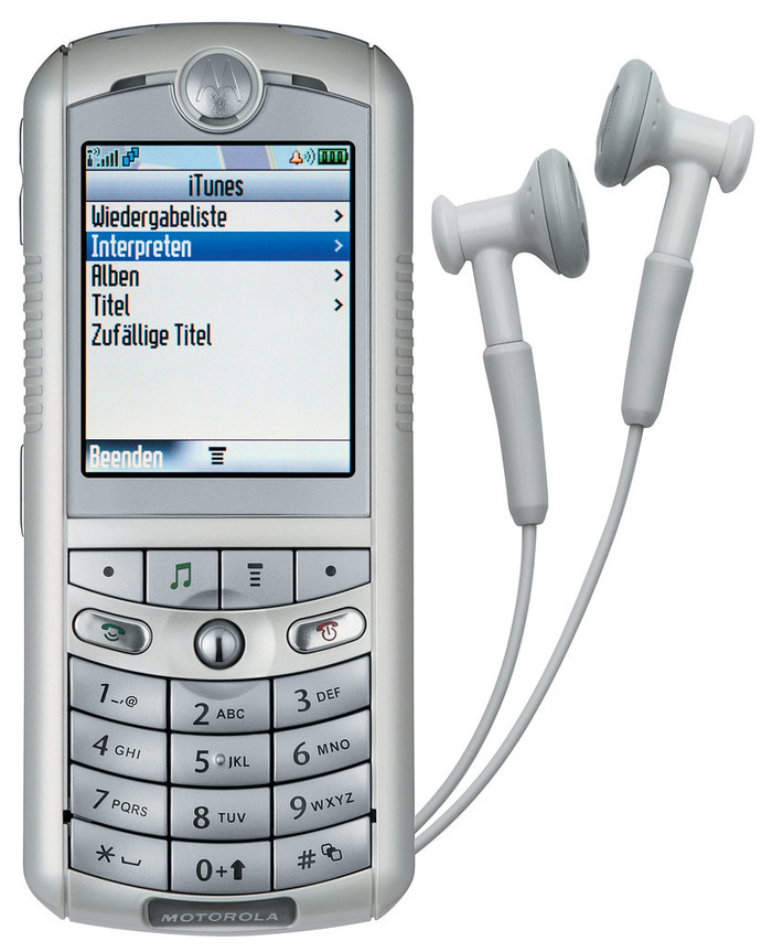 Thời điểm chiếc điện thoại mang thưởng hiệu Apple ra mắt, nhiều nhà phân tích nhìn nhận nó là một sản phẩm tiềm năng và hoàn toàn có khả năng làm ảnh hưởng đến doanh số bán chiếc iPod của Apple. ROKR E1 được cho là có khả năng lôi kéo người tiêu dùng đến với nhà mạng.