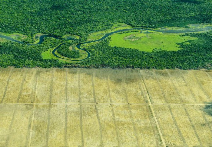 Giải nhì cuộc thi thuộc về Roberto Bueno ở Belize, với bức ảnh ''The Boundary of Disaster''. Theo nhiếp ảnh gia, đường thẳng kia thể hiện ranh giới giữa thiên nhiên và con người.