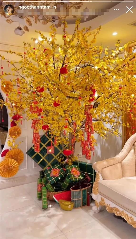Bên trong căn hộ là 2 cây đào và cây mai cỡ lớn với đủ đồ trang trí bắt mắt.