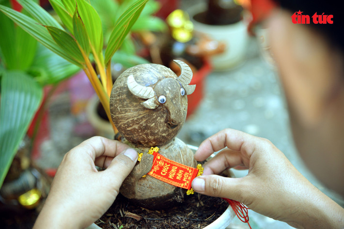 Dịp Tết Tân Sửu 2021, dừa bonsai hình trâu cũng trở thành sản phẩm độc đáo được khách hàng thi nhau đặt mua. Ảnh: Báo tin tức