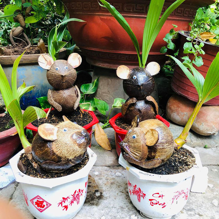 Giá tiền triệu, dừa bonsai hình chuột vẫn cháy hàng Tết Canh Tý 2020. Ảnh: Vietnamnet