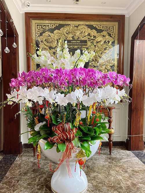 Lan hồ điệp được đặt ở vị trí trung tâm trong biệt thự.
