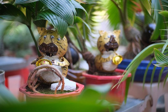 Để hoàn thành một sản phẩm bonsai linh vật hổ phải trải qua 2 quy trình chính, đầu tiên là chọn phối giống và ươm mầm từ 4-6 tháng. Ảnh: Tiền phong