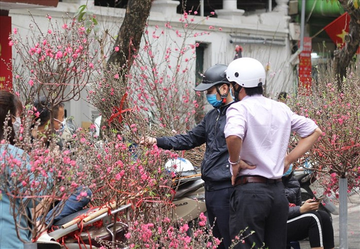 Chợ hoa tết Hàng Lược nổi tiếng với hàng ngàn loài hoa đẹp nhất, tươi nhất đến từ các vùng trồng hoa nổi tiếng. Ảnh: Lao động