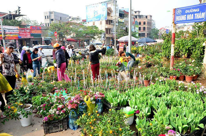 Chợ hoa ở đây họp quanh năm nhưng nhộn nhịp nhất là những ngày giáp tết. Đây là một chợ hoa rực rỡ sắc màu, thơm ngát mùi hương của hàng ngàn loài hoa khác nhau với giá khá rẻ. Ảnh: VTCNews
