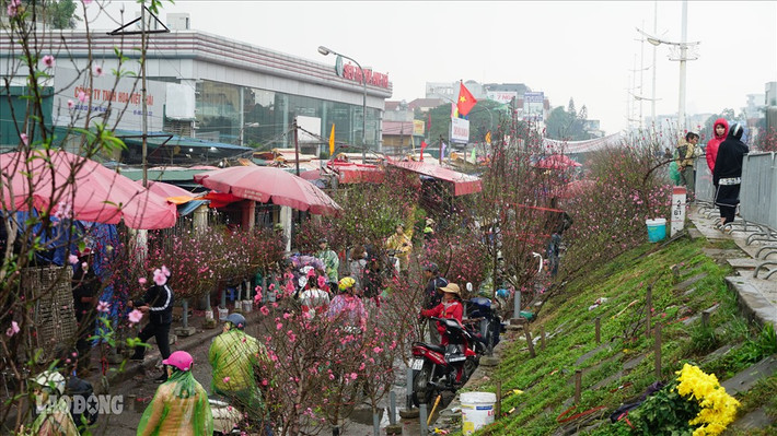 Chợ hoa Quảng Bá là một trong những chợ hoa đầu mối lớn nhất Hà Nội, thường họp từ khoảng 3h - 7h sáng. Những ngày cận Tết Nguyên đán, khu chợ ven đường Âu Cơ luôn tấp nập cả ngày lẫn đêm. Ảnh: Lao động