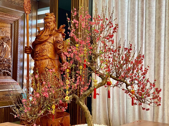 Các loài hoa, cây cảnh chơi Tết càng làm cho căn nhà trở nên sang trọng hơn. Ảnh: Dân Việt